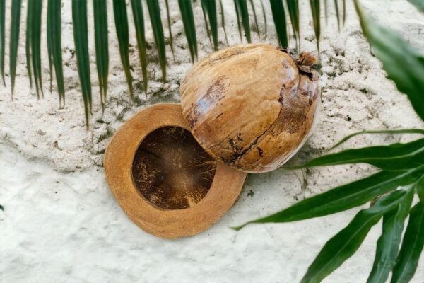 noix coco guadeloupe - seau