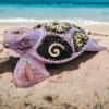 plage - tortue violette