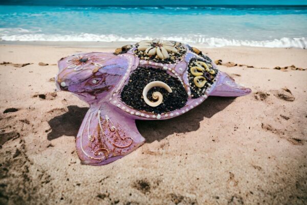 plage - tortue violette